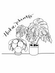 Hoka plants