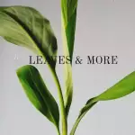 Leaves&More