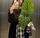 urbanjunglepraha