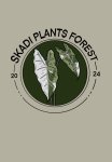 Skadi plants forest