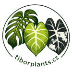 Tiborplants.cz