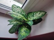 IMG_20260316_082736 1.jpg