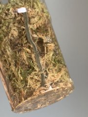 IMG_9651.jpeg