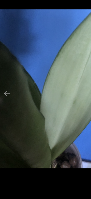 IMG_3485.png