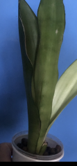 IMG_3488.png