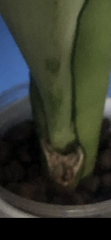 IMG_3487.png