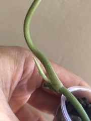 IMG_3189.jpeg