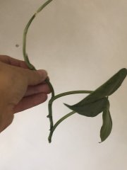 IMG_3643.jpeg