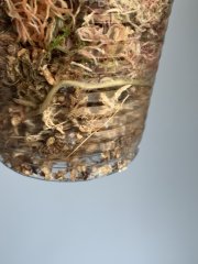 IMG_0072.jpeg