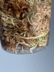 IMG_0199.jpeg