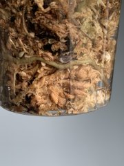 IMG_0211.jpeg