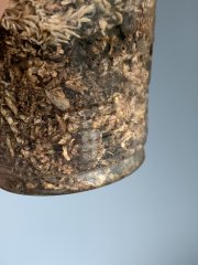 IMG_0216.jpeg