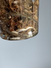 IMG_0223.jpeg