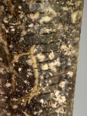IMG_0235.jpeg