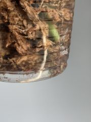 IMG_0239.jpeg