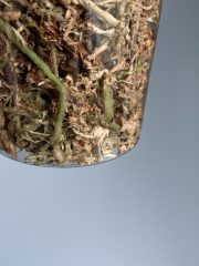 IMG_0280.jpeg
