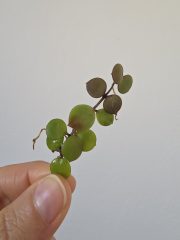 20260528_103631.jpg