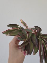 20260527_172538.jpg