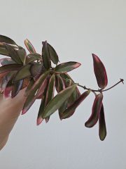 20260527_172607.jpg