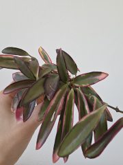 20260527_172613.jpg