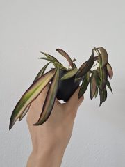 20260517_112915.jpg