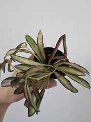 20260517_112922.jpg