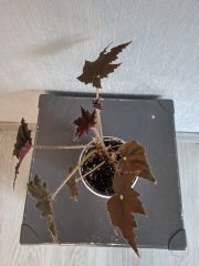 20260601_101654.jpg