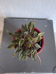 20260601_102626.jpg