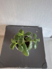 20260601_122647.jpg
