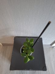 20260601_124137.jpg