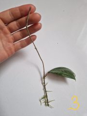 1000050412.jpg