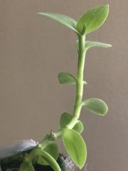 IMG_3175.jpeg