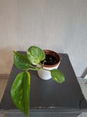 20260609_132031.jpg