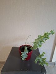 20260609_133455.jpg