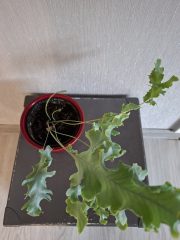 20260609_133508.jpg