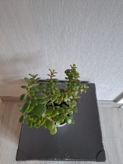 20260609_134212.jpg