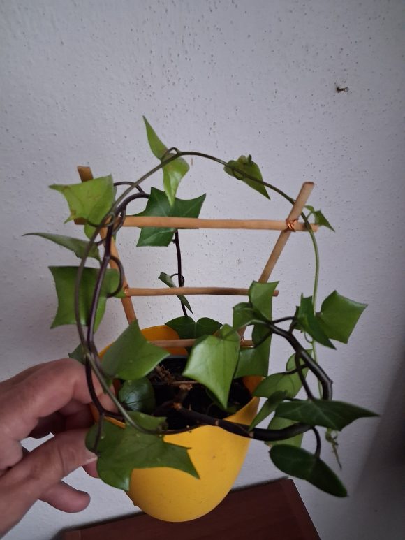 1000024367.jpg