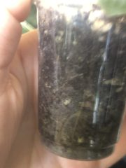 IMG_3922.jpeg