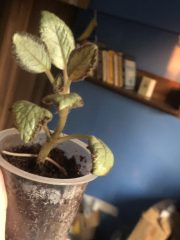 IMG_3983.jpeg