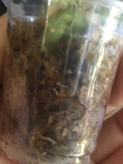 IMG_3955.jpeg