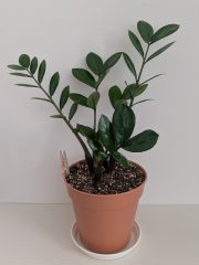 PXL_20260628_145315813~2.jpg