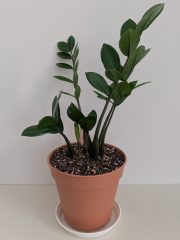 PXL_20260628_145332688~2.jpg