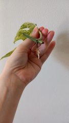 1000079870.jpg