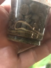 IMG_4190.jpeg