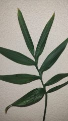 IMG_20260717_171654777.jpg