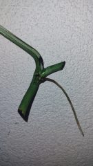 IMG_20260717_171659178.jpg