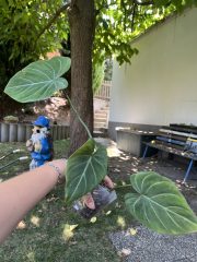 IMG_9430.jpeg
