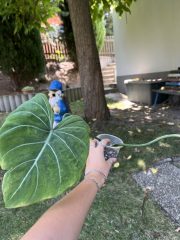 IMG_9431.jpeg