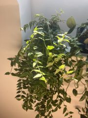 IMG_9433.jpeg