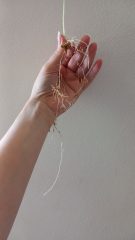20260813_134005_021417.jpg